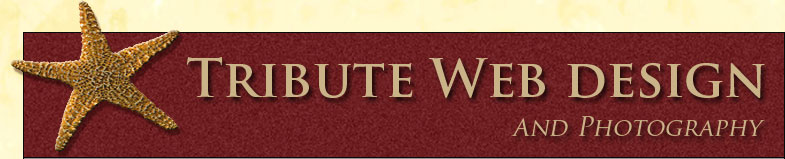 Tribute Web Design and Photography in Eugene, Oregon